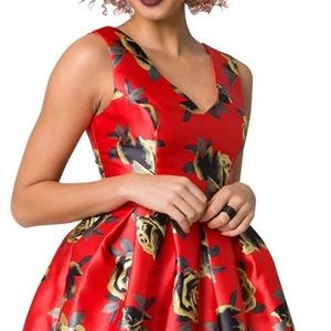 🌹 Vintage Prom Dress 🌹